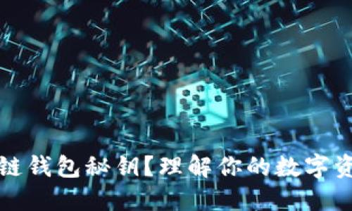什么是区块链钱包秘钥？理解你的数字资产安全之钥