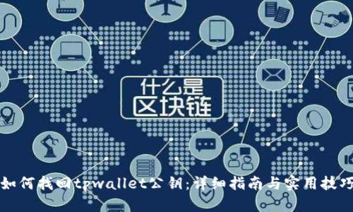 如何找回tpwallet公钥：详细指南与实用技巧