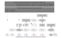 数字人民币字母钱包的风