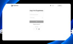 数字钱包体现费：全面解