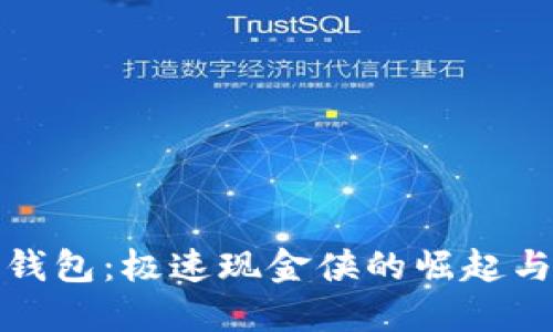 数字钱包：极速现金侠的崛起与未来