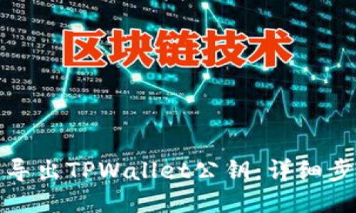 如何轻松导出TPWallet公钥：详细步骤与技巧