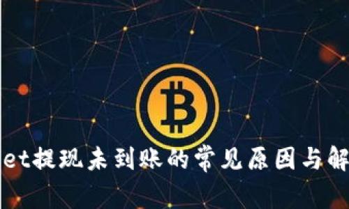 TPWallet提现未到账的常见原因与解决方案