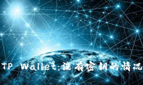 如何安全使用TP Wallet：没有密钥的情况下的最佳实践