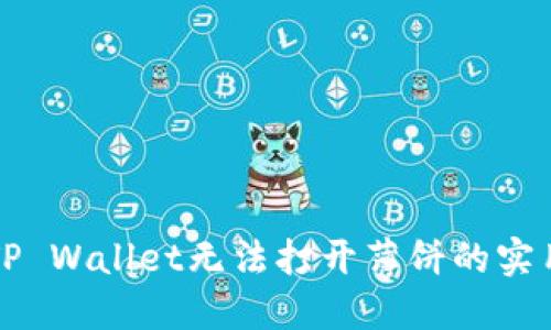 解决TP Wallet无法打开薄饼的实用指南