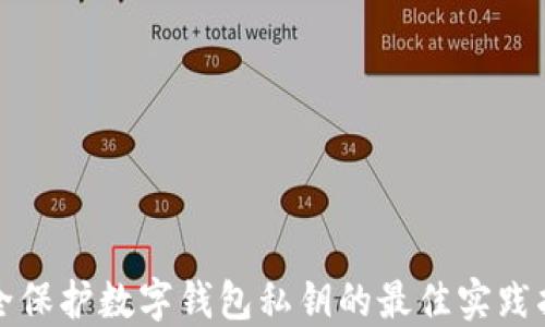 
安全保护数字钱包私钥的最佳实践指南