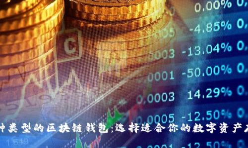 探索各种类型的区块链钱包：选择适合你的数字资产存储方式