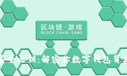 数字钱包的安全之钥：解密你数字钱包背后的加密技术