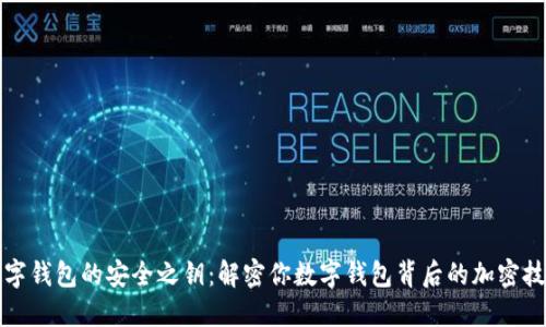 数字钱包的安全之钥：解密你数字钱包背后的加密技术