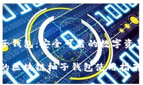 区块链柚子钱包：安全可靠的数字资产管理工具

高效安全的区块链柚子钱包使用指南