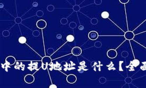 ### TPWallet中的提U地址是什么？全面解析与使用指南