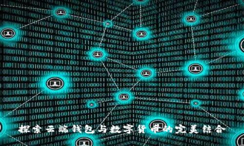 探索云端钱包与数字货币的完美结合