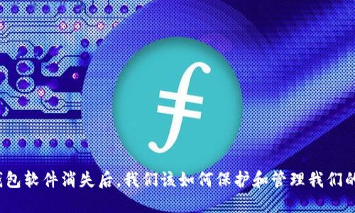 数字钱包软件消失后,我们该如何保护和管理我们的资金?