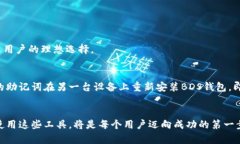 探索BDS数字钱包：安全、