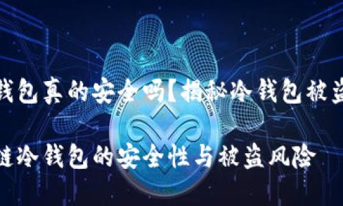 区块链冷钱包真的安全吗？揭秘冷钱包被盗的可能性

揭秘区块链冷钱包的安全性与被盗风险