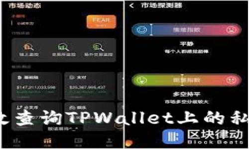 如何高效查询TPWallet上的私募项目?
