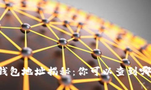 区块链钱包地址揭秘：你可以查到哪些信息？