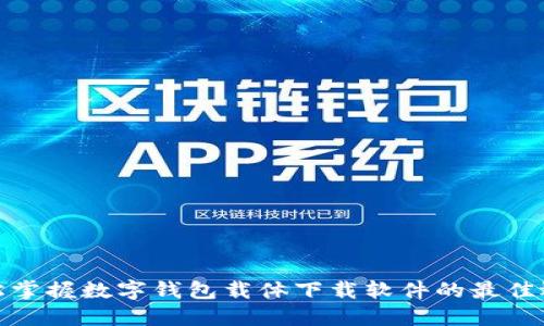 轻松掌握数字钱包载体下载软件的最佳选择