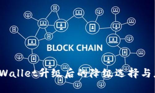 TP Wallet升级后的降级选择与应对