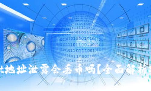 tpwallet地址泄露会丢币吗?全面解析安全隐患