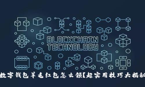 数字钱包羊毛红包怎么领？超实用技巧大揭秘