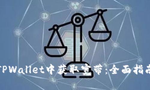 如何在TPWallet中获取宽带：全面指南与技巧