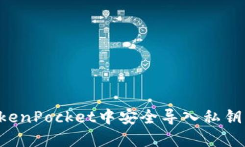如何在TokenPocket中安全导入私钥：新手指南