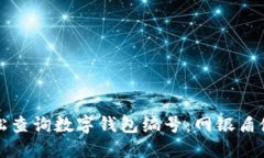 如何轻松查询数字钱包编