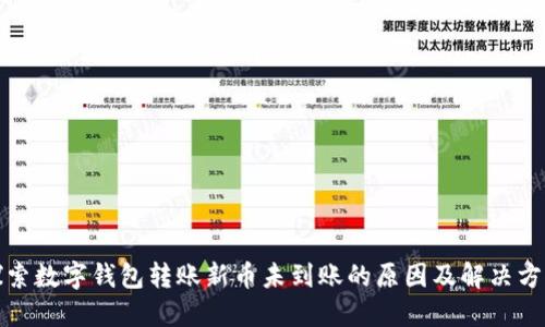 探索数字钱包转账新币未到账的原因及解决方法