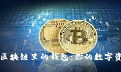 深入了解区块链里的钱包：你的数字资产保护神