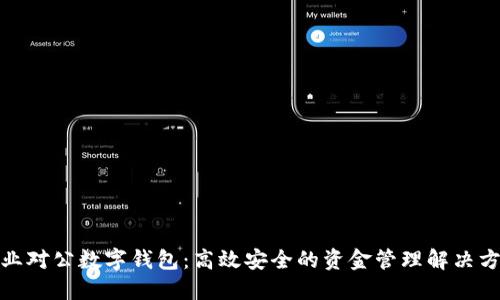 企业对公数字钱包：高效安全的资金管理解决方案