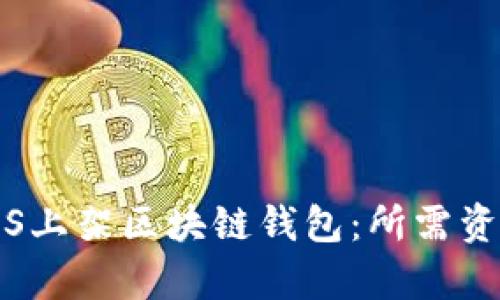 如何在iOS上架区块链钱包：所需资质全解析