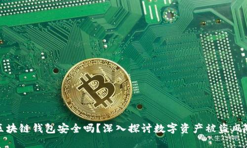 区块链钱包安全吗？深入探讨数字资产被盗风险