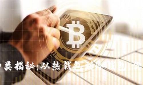 区块链钱包种类揭秘：从热钱包到冷钱包，你最需要的知识
