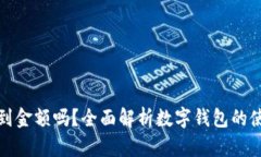 数字钱包能看到金额吗？