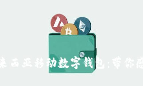 便利与安全的马来西亚移动数字钱包：带你感受全新支付体验