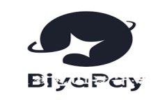 区块链钱包UI设计优雅而高