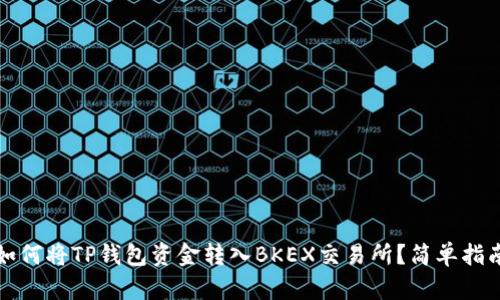 如何将TP钱包资金转入BKEX交易所？简单指南