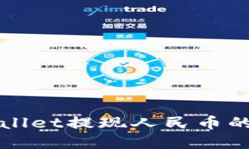 详解TPWallet提现人民币的实用攻略
