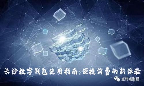 长沙数字钱包使用指南：便捷消费的新体验