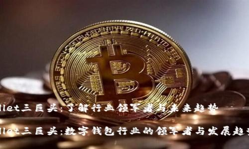 TPWallet三巨头：了解行业领军者与未来趋势

TPWallet三巨头：数字钱包行业的领军者与发展趋势分析