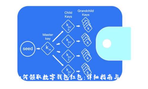 如何领取数字钱包红包：详细指南与技巧
