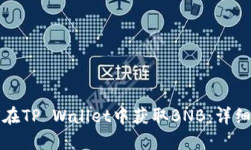 如何在TP Wallet中获取BNB：详细指南