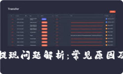 数字钱包提现问题解析：常见原因及解决方案
