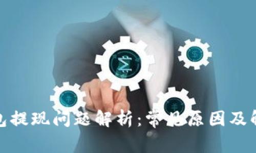 数字钱包提现问题解析：常见原因及解决方案