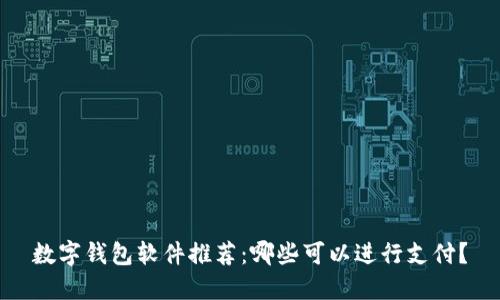 数字钱包软件推荐：哪些可以进行支付？