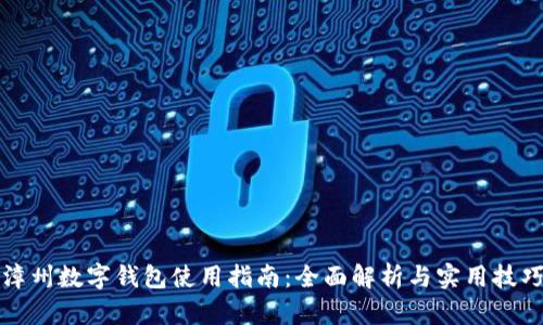 漳州数字钱包使用指南：全面解析与实用技巧