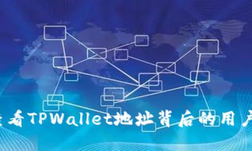 如何查看TPWallet地址背后的用户信息？