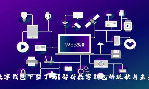 数字钱包下架了吗？解析数字钱包的现状与未来