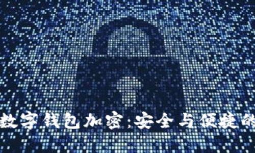 中盾云安数字钱包加密：安全与便捷的完美结合